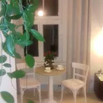 Apartment Bialy Polanica-Zdroj